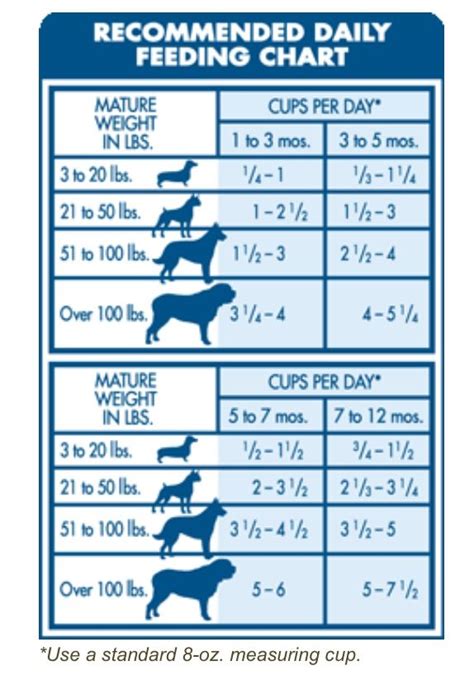 Medium Size Dog Feeding Chart