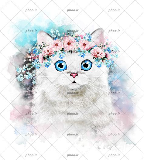 عکس با کیفیت گربه ی سفید با چشم های آبی و تاچ گل های زیبا بر روی سرش عکس با کیفیت و تصاویر