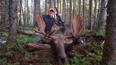 Omm Outfitters Blog 2014 Maine Moose Hunt September