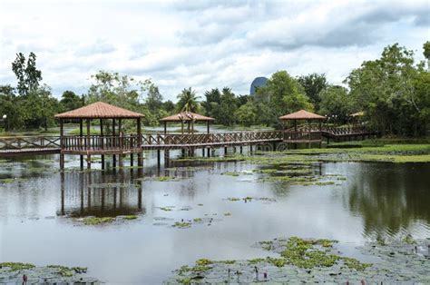 Taman Rekreasi Tasik Melati Perlis Malasia Imagen De Archivo Imagen