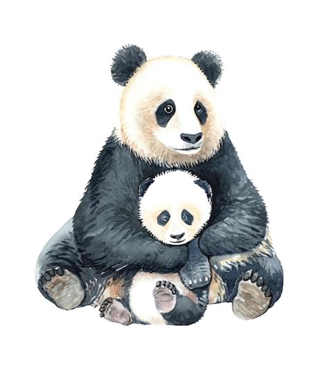 Watercolor Panda Hug Baby Panda Illustration Premium Vector