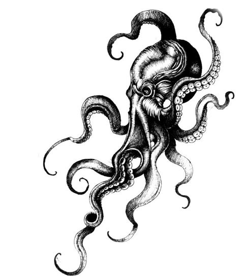 Pin By Erickalvst On Octopus Tattoo Design Octopus Tattoo Design