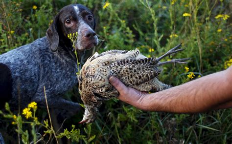 Italy Hunting Season