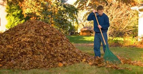 Leaf Raking Volunteers Still Needed To Complete ‘day Of Caring Yards