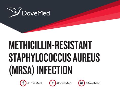 Methicillin Resistant Staphylococcus Aureus Mrsa Infection