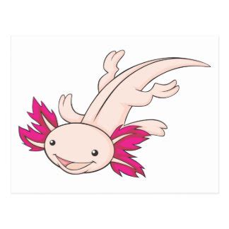 Ajolote Dibujo Animado Axolotl Mexican Salamandra Ajolote Dibujo