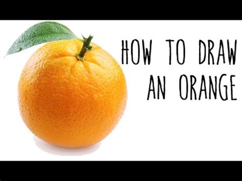 This step by step lesson progressively builds upon each previous step until you to start drawing the cat you'll want to print this page or following the next 6 steps in sequence. How to draw an Orange - drawing fruits with kids - YouTube