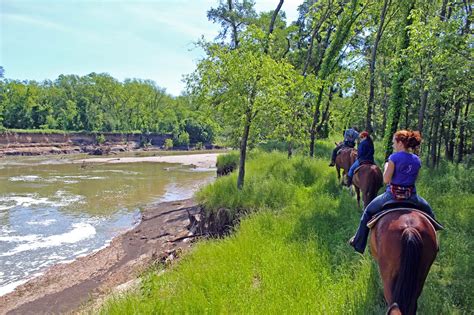 Dallas Trinity Trails Horseback Riding The Trinity River