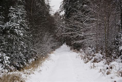 Snow Path By Rafael0908 On Deviantart