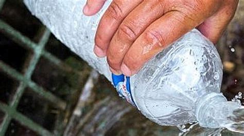 Namib Desert Beetle Inspires Self Filling Water Bottle Bbc News