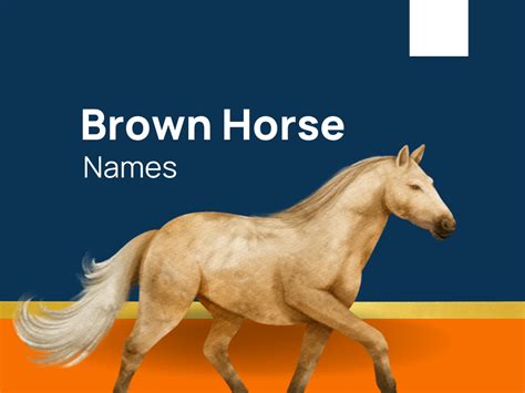 1020 Brown Horse Names For The Discerning Equestrian Generator