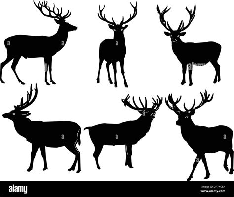 Deer Collection Vector Stock Vector Image And Art Alamy