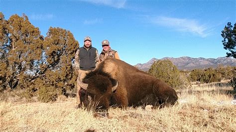 About Buffalo Hunting Outfitters Lamont Wild West Buffalo New Mexico