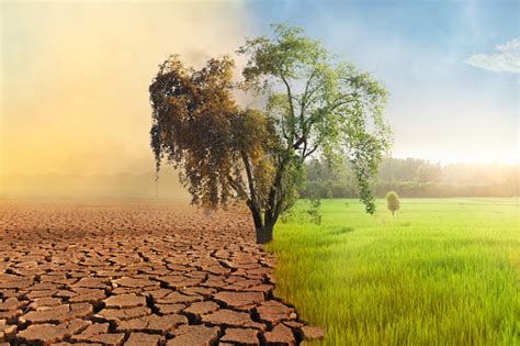 Climate Change And Environmental Damage Stock Photo Download Image