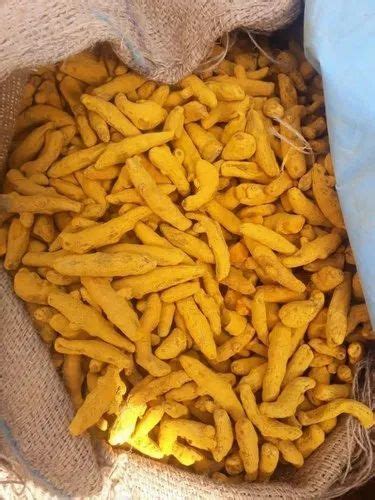 Crcuma Golden Yellow SELAM TURMERIC FINGER For Food Haldi At Best