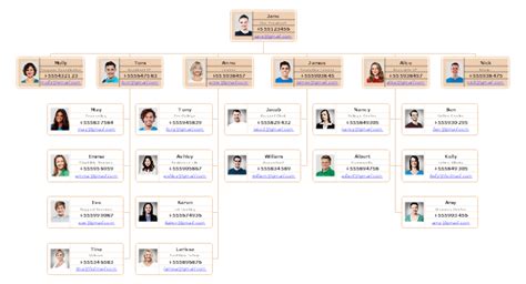 Explain Organizational Charts With Types Uses And Examples Edrawmax