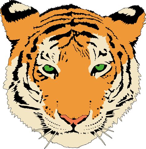 Detailed Tiger Head Clip Art At Clker Com Vector Clip Art Online