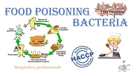 Food Poisoning Bacteria Haccp Lessons Part 08 Youtube