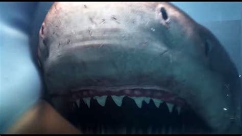 Pinocchio trailer teaser (2021) tom hanks, robert zemeckis movie. Deep Blue Sea 3: Trailer Ufficiale USA | WideMovie