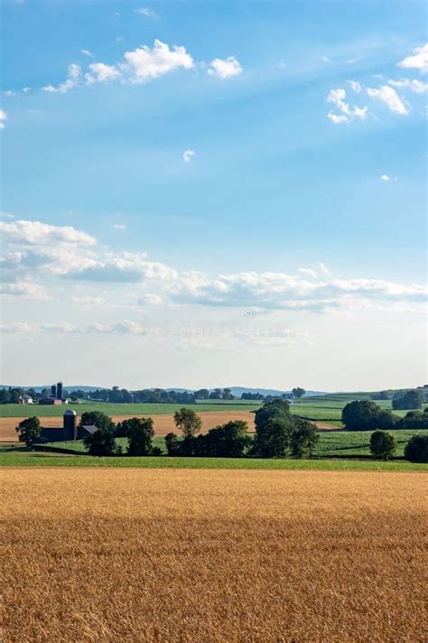 Rolling Farmland Countryside Stock Photo Image Of Scenery Rural