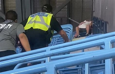 Foul Balls Blue Jays Fans Removed From Stadium For Allegedly Having