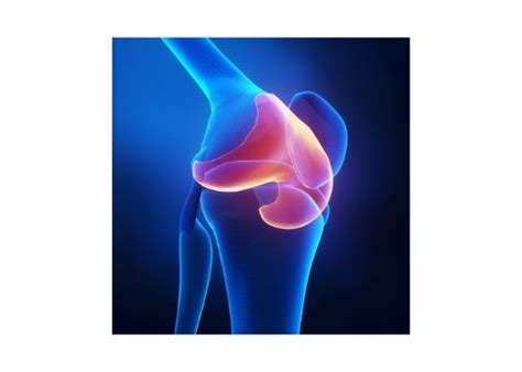 Knee Cartilage Injury Knee Specialist South Windsor Enfield