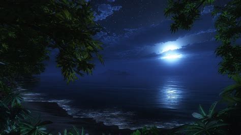 Hd Beach At Night Images Hd Desktop Wallpapers Amazing