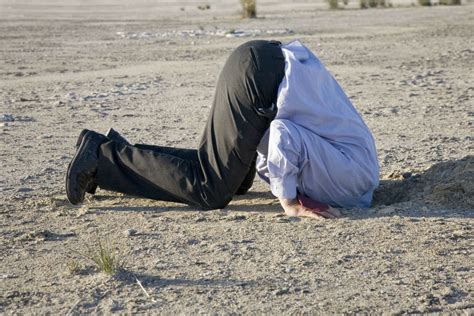 Staffreads Australian Protesters Bury Their Heads In The Sand Virgin