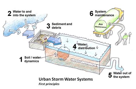 Illustrated Guide To Using Trees And Soils To Manage Stormwater
