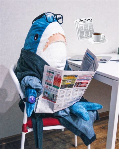 Ikeas Blahaj Is A Plush Toy Shark That Has Quickly Become A Social