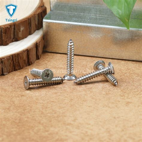 Tgrtsingri Stainless Steel Phillips Flat Undercut Head Self Tapping