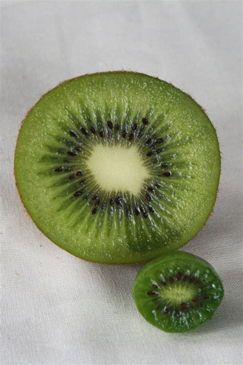 Entdeckt Wie Schmeckt Eigentlich Die Mini Kiwi