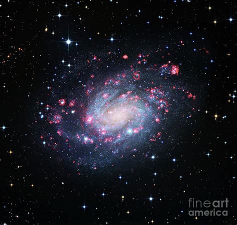 Spiral Galaxy Ngc 300 Photograph By Robert Gendlerscience Photo