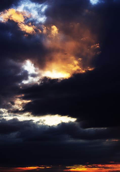 Immagini Belle Mare Natura Orizzonte Nube Alba Luce Del Sole