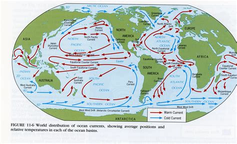 Ocean Circulation Madeline James Writes