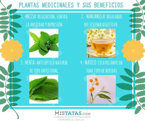 PLANTAS MEDICINALES Y SUS BENEFICIOS