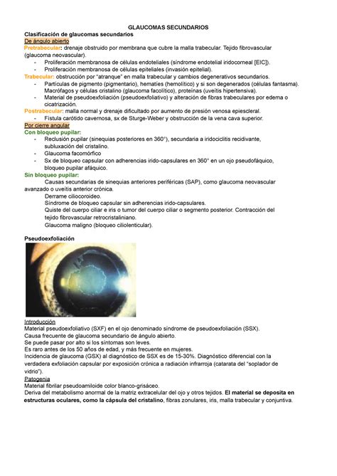 Glaucomas secundarios y Oclusión de A C de retina apuntes GLAUCOMAS