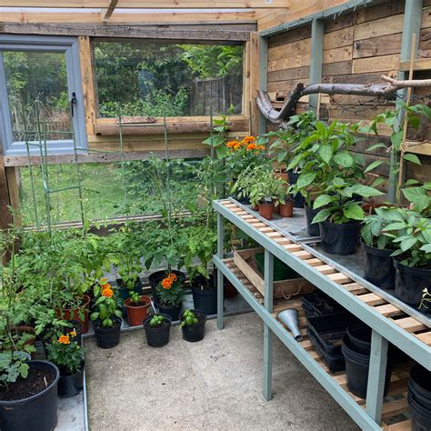 Yes you can have a productive garden in winter and cold. Savvy gardener creates her amazing DIY greenhouse for just £60