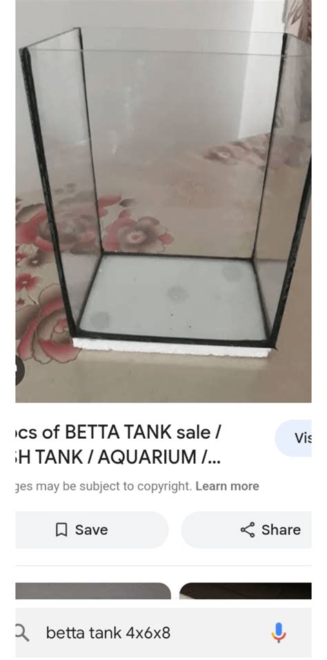 I Rescued Bichirs From Tiny Ass Tanks The Tanks Are Smaller Than A 3 Gallon I Will Show You The