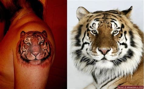 Tiger By Ed Tattoo On Deviantart Tiger Print Tattoos Tiger Tattoo