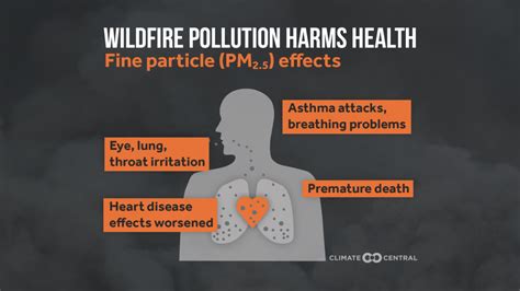 How To Protect Yourself From Wildfire Smoke Investigatewest