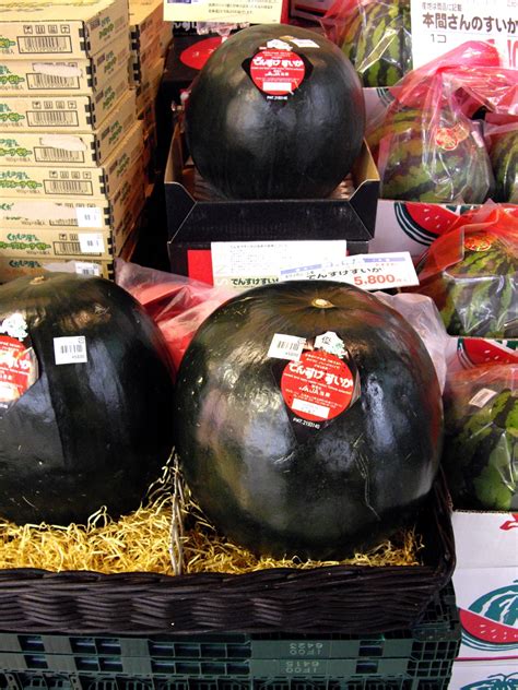 Oggi mi sono chiesto quali sono i 10 cibi più costosi del mondo, caviale beluga, foie gras, melone del giappone e anguria densuke ed ovviamente sua maestà il tartufo bianco d'alba. I dieci cibi più costosi al mondo - La Cucina Italiana