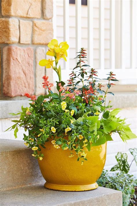 34 Lovely Combination Planting Container Gardening Ideas Homyhomee
