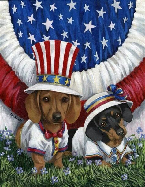 Happy 4th | Patriotic pets, Dachshund love, Dachshund