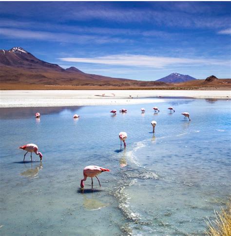 5 Things To Know Before Visiting The Uyuni Salt Flats In