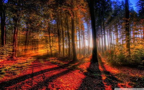 Sunny Autumn Day Wallpapers Wallpaper Cave