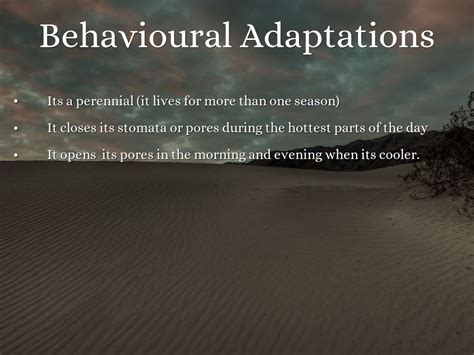 Adaptations of Desert Organisms!! by ilias29