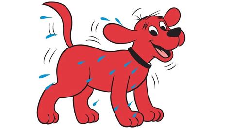 Clifford was the runt of the litter, and was chosen by a city child named emily elizabeth howard as her birthday present. Clifford The Big Red Dog