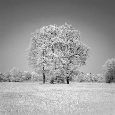 Infrared Long Exposure Photography By Fine Art
