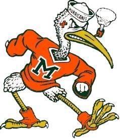 It starts with our dedicated faculty and it leads to incredible success. Sebastian the Ibis | Miami hurricanes mascot, Miami hurricanes football, Miami hurricanes